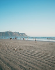 people on beach during daytime