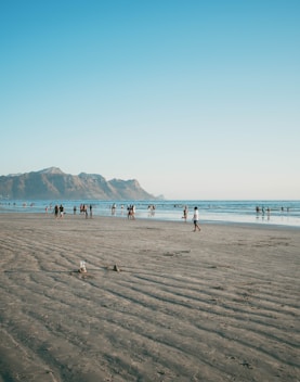 people on beach during daytime