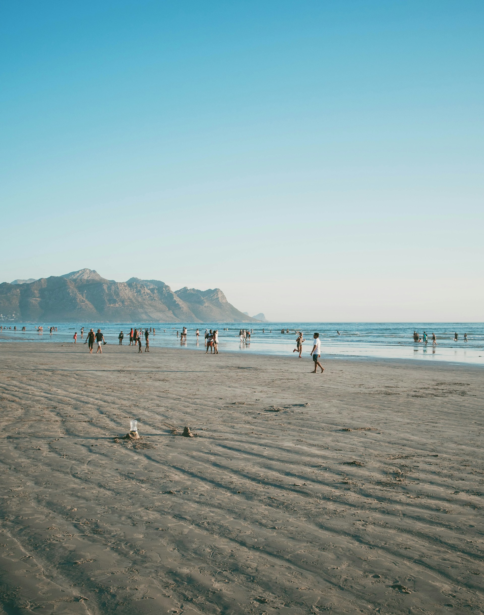 people on beach during daytime