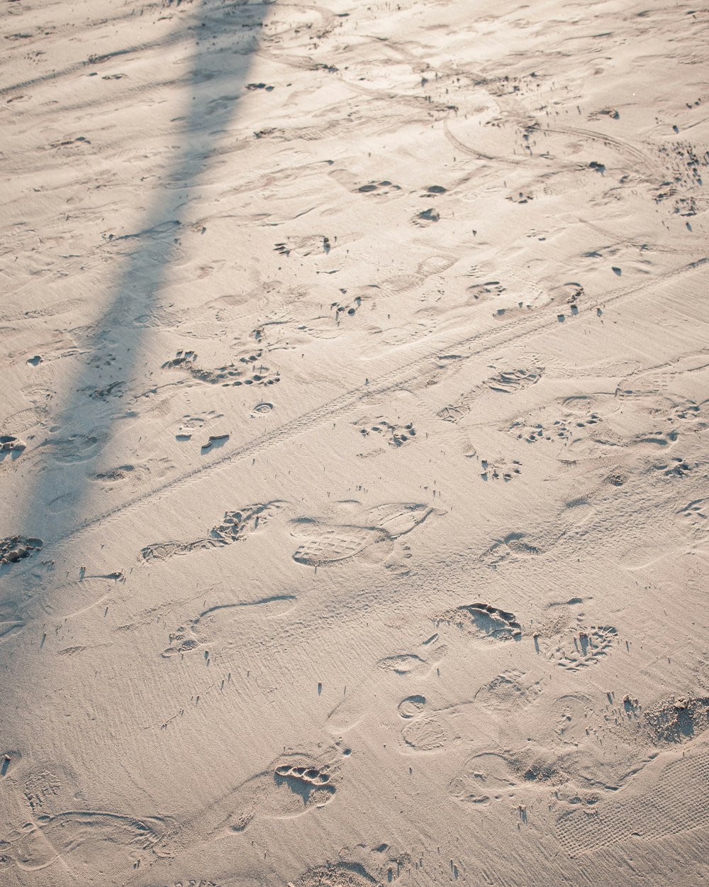 footprints on white sand during daytime