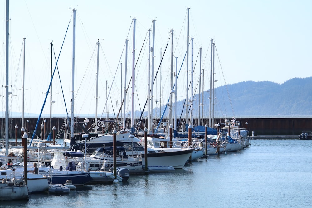 white and blue sail boat on sea during daytime