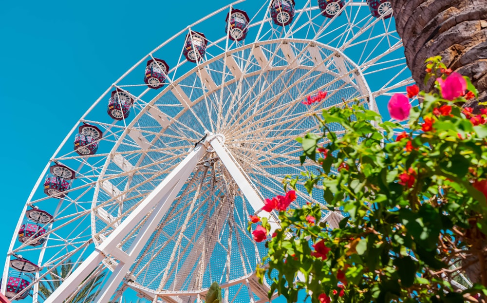 roda gigante branca sob o céu azul durante o dia