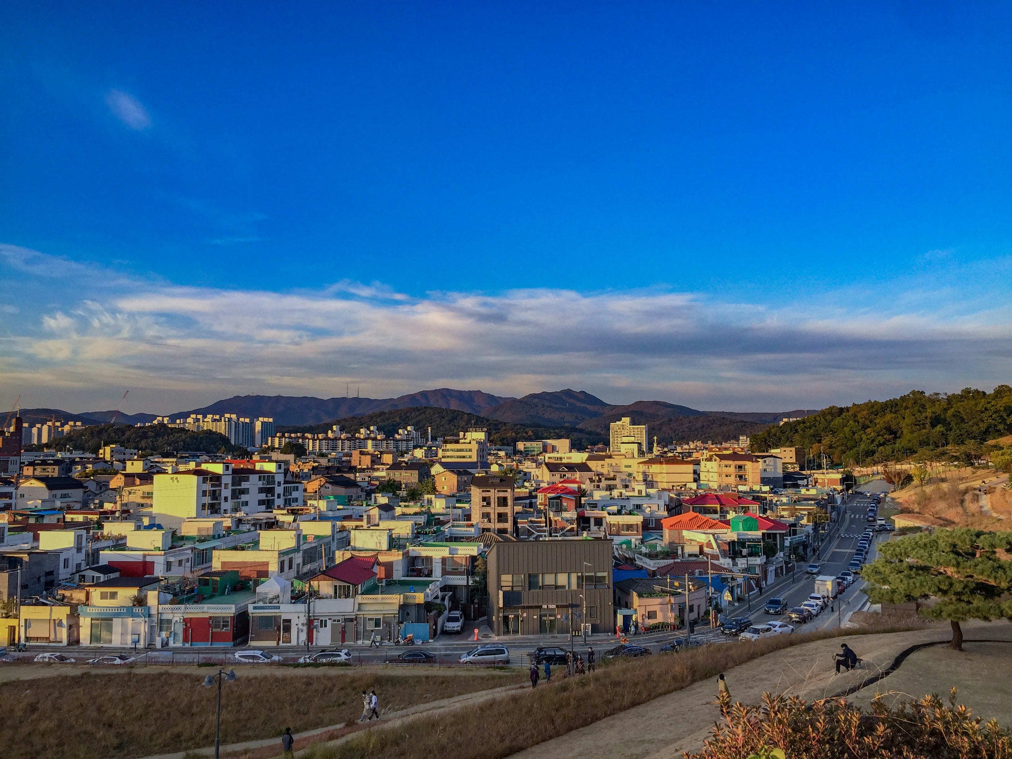 진안군청 여권발급 가까운 주 쉽게 따라할 수 있는 심플 타이포그래피 표지
