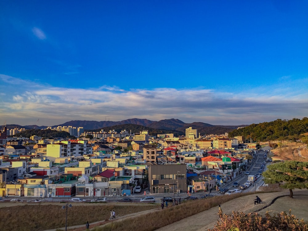 city with high rise buildings under blue sky during daytime