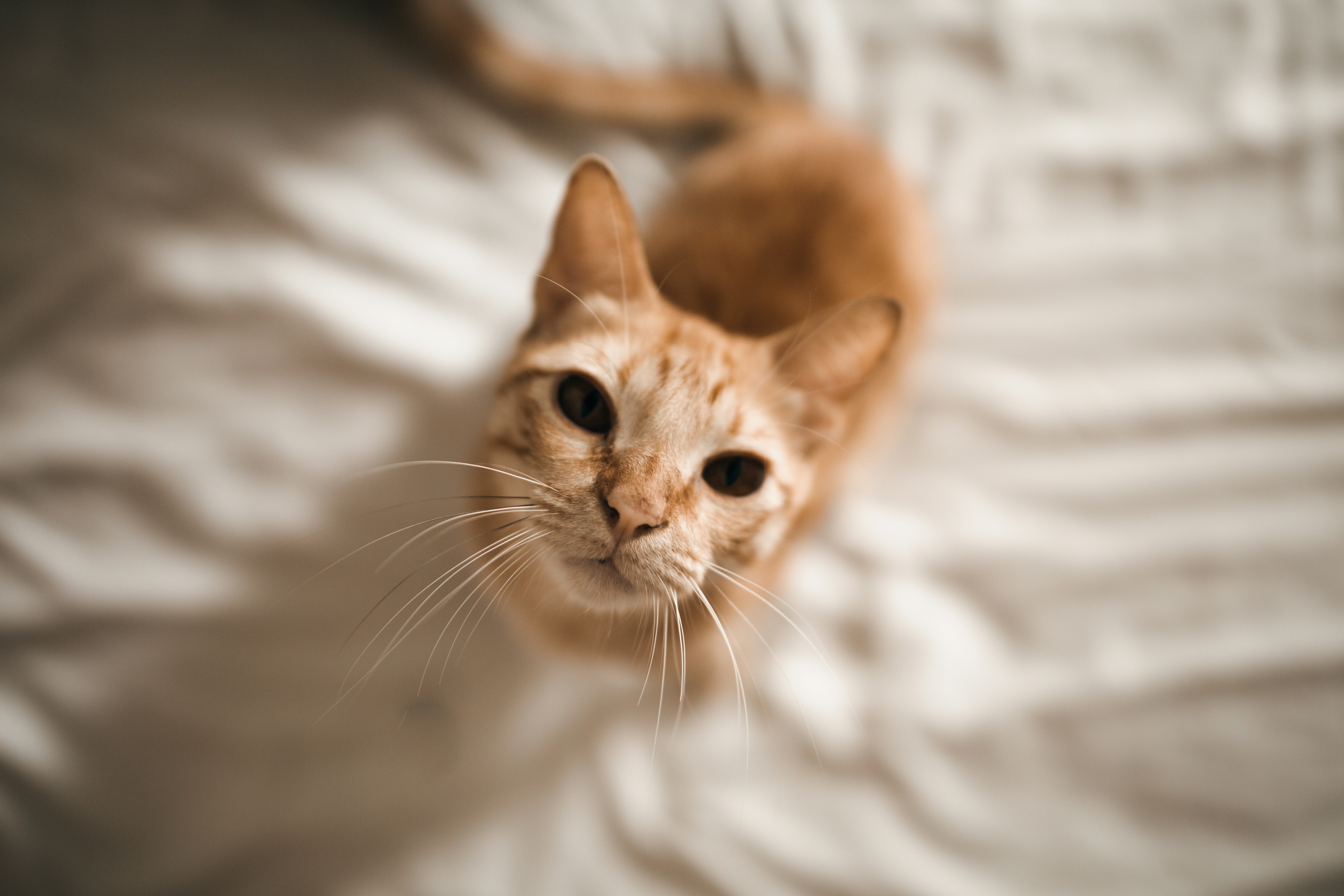 Photo by fitogarciaph