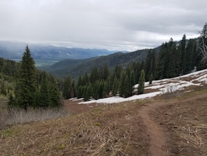 A scenic landscape with a view of a mountain range in the distance. The foreground features a dirt trail winding through a hillside partially covered in patches of snow. Dense evergreen forests cover the slopes, creating a lush green contrast against the overcast sky.