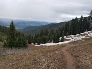 A scenic landscape with a view of a mountain range in the distance. The foreground features a dirt trail winding through a hillside partially covered in patches of snow. Dense evergreen forests cover the slopes, creating a lush green contrast against the overcast sky.