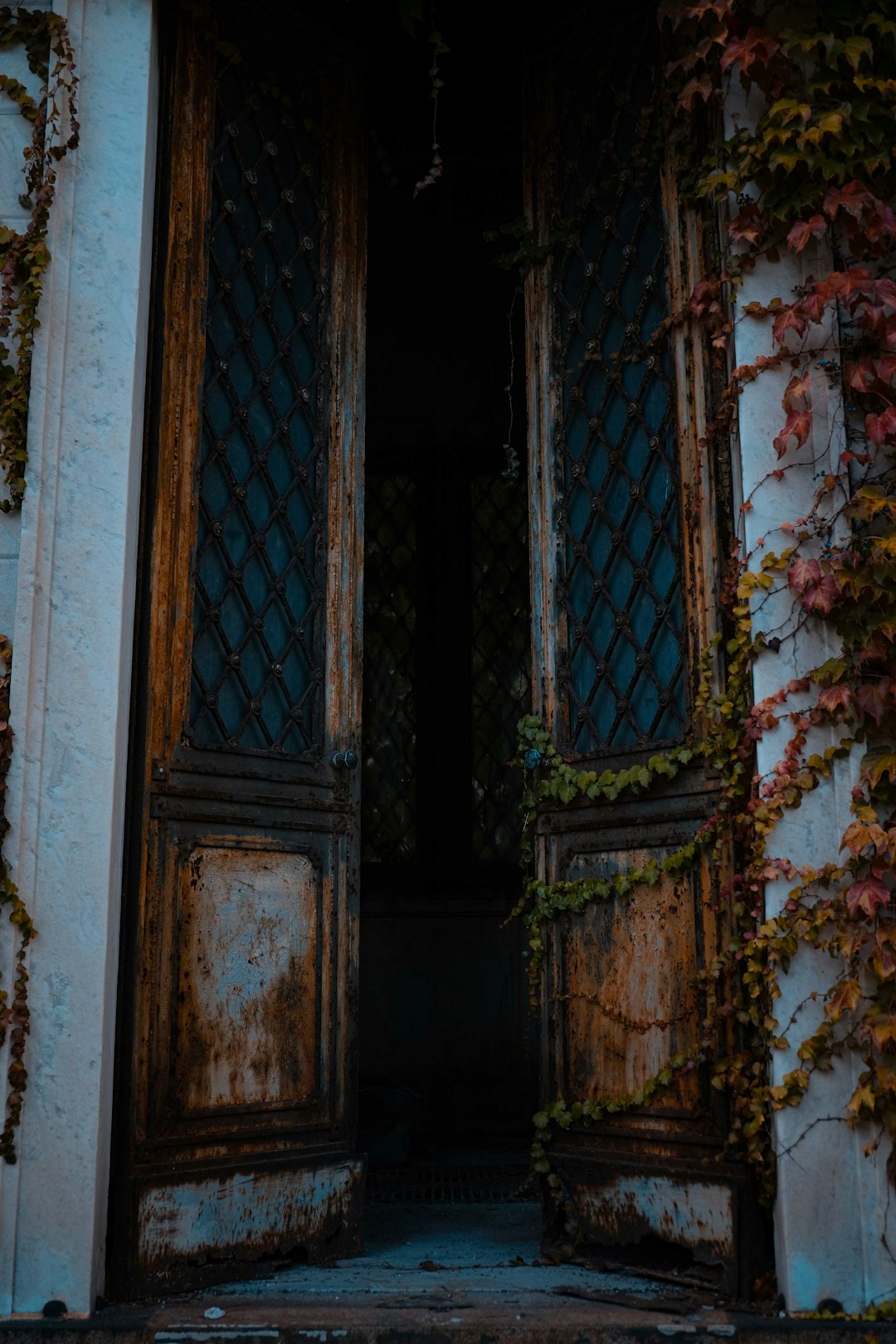 blue wooden window frame with red and white flowers