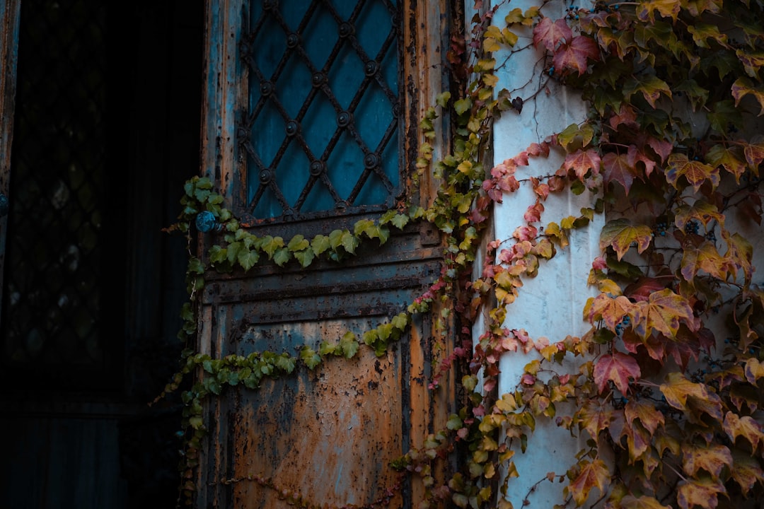 blue and brown floral window