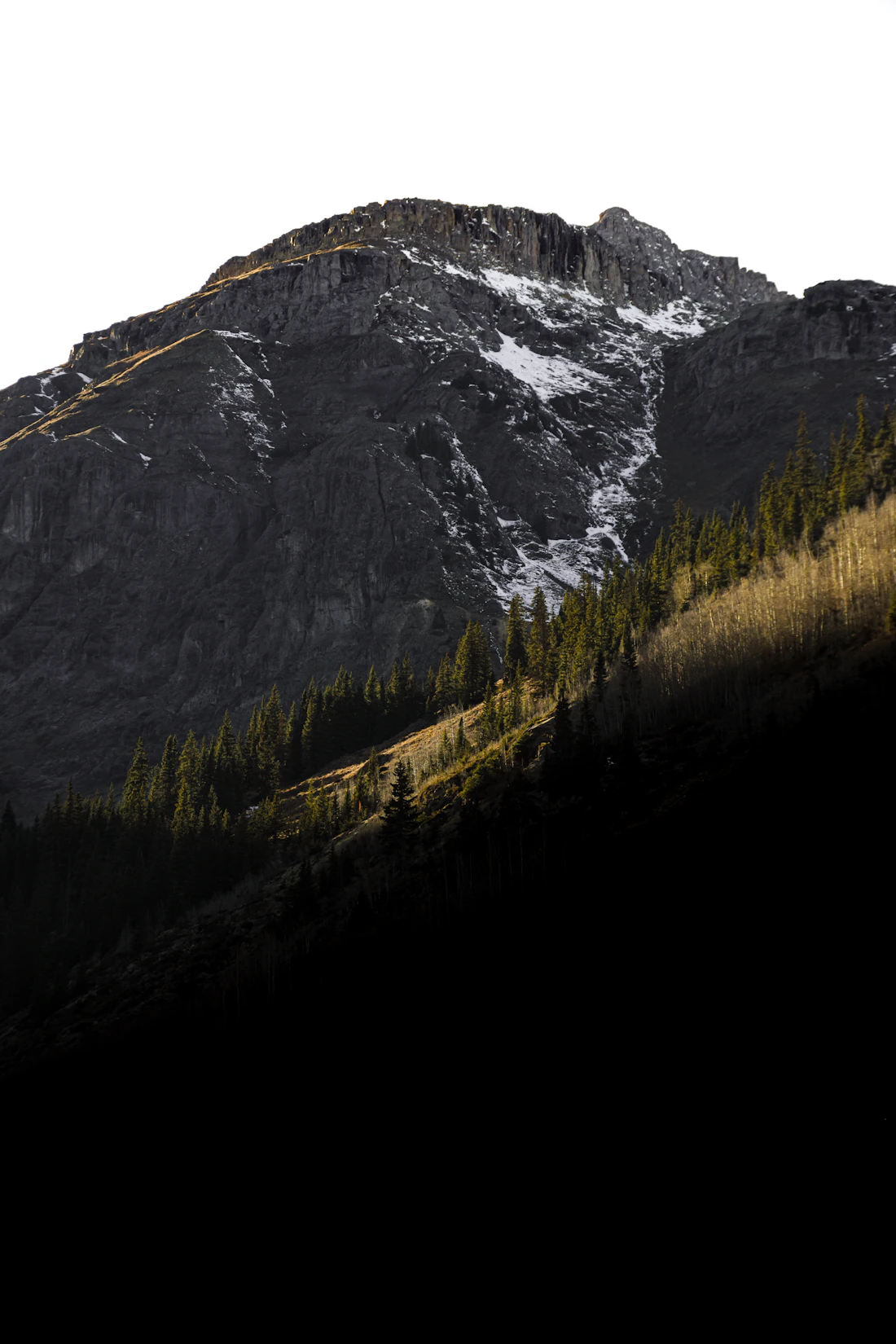 Forested San Juan mountainside