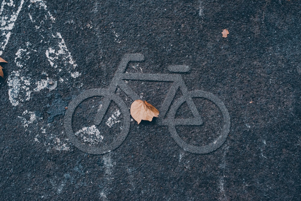 brown leaf on black concrete floor