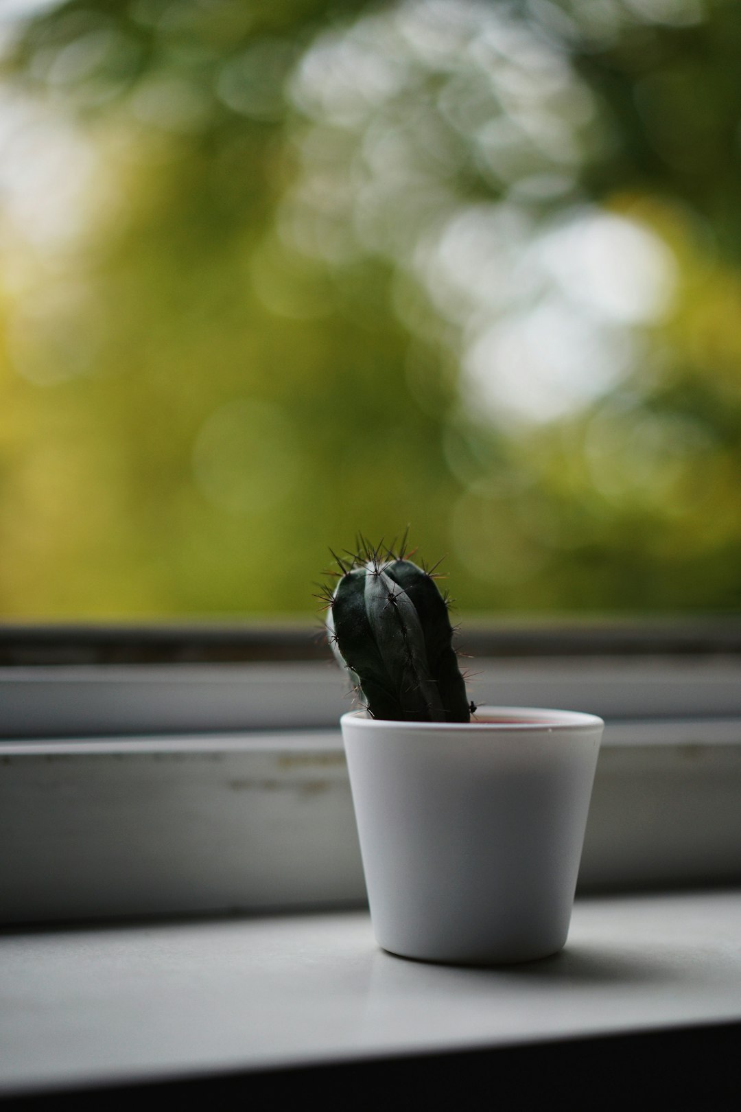 black bird on white ceramic cup