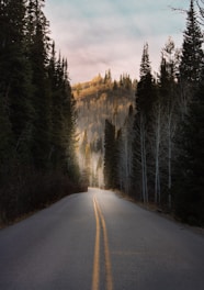 gray asphalt road between trees under white clouds during daytime