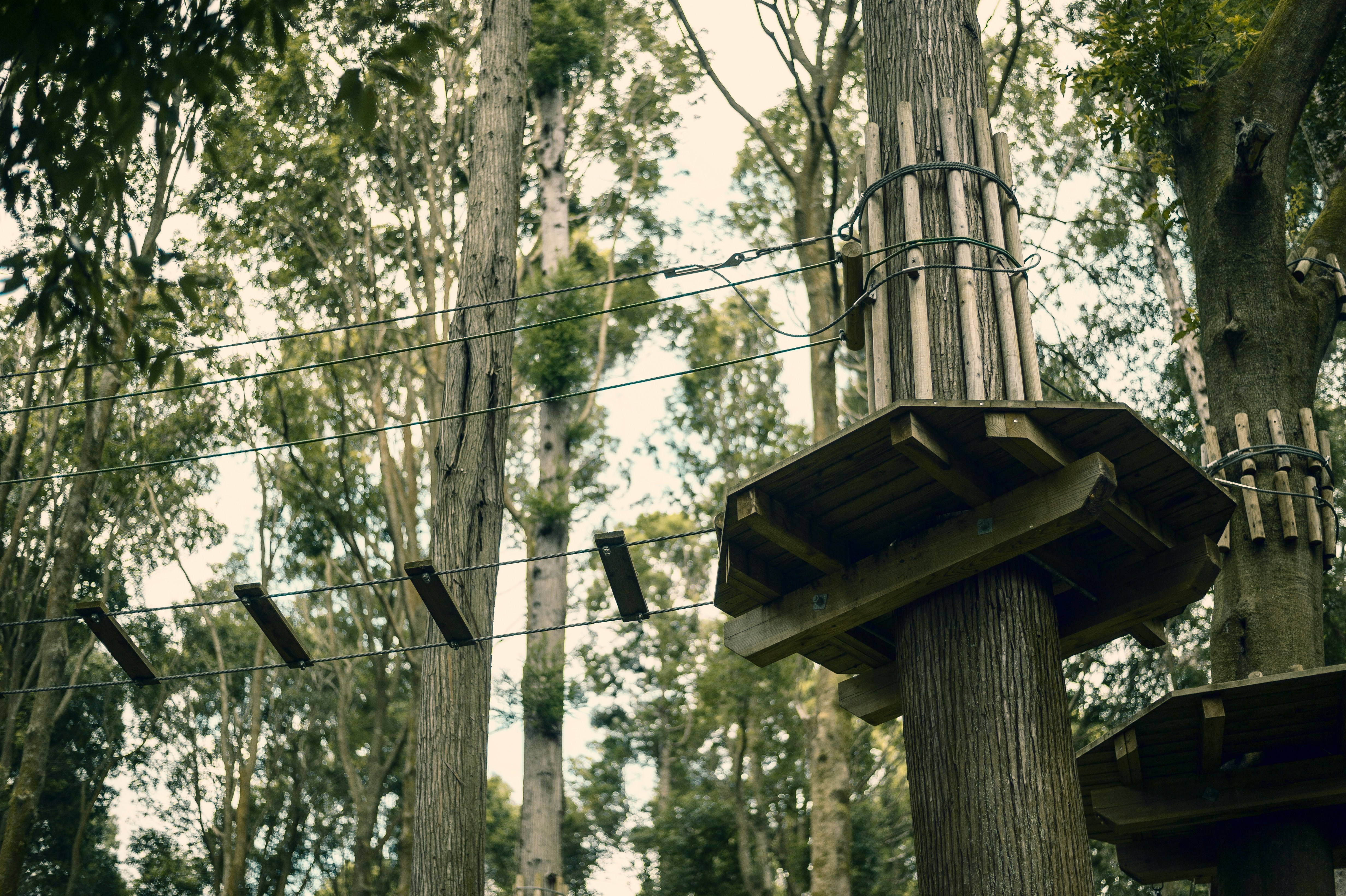 Arbre et Aventure La Moulière
