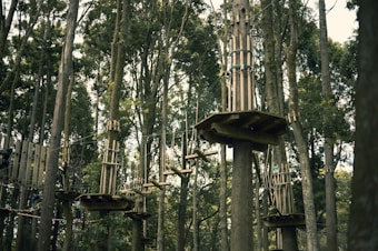 Wooden platforms are elevated and secured among tall trees in a dense forest. The platforms are interconnected with various suspended bridges and rope pathways high above the forest floor. Some of the pathways consist of planks and ropes that challenge balance and agility.