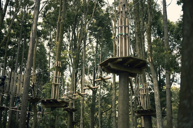 Wooden platforms are elevated and secured among tall trees in a dense forest. The platforms are interconnected with various suspended bridges and rope pathways high above the forest floor. Some of the pathways consist of planks and ropes that challenge balance and agility.
