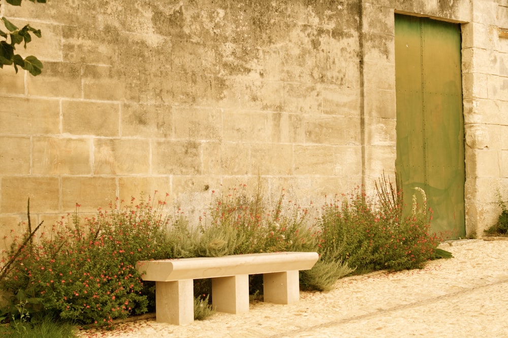 white wooden bench beside green grass