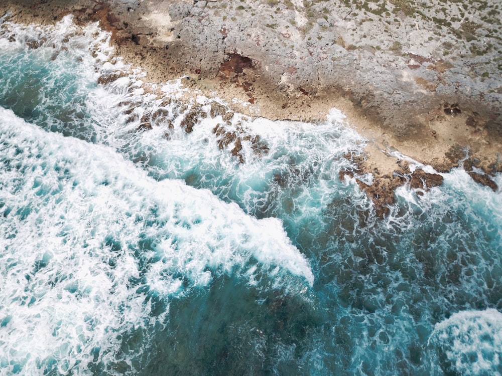 Les vagues de l’océan s’écrasent sur le rivage pendant la journée