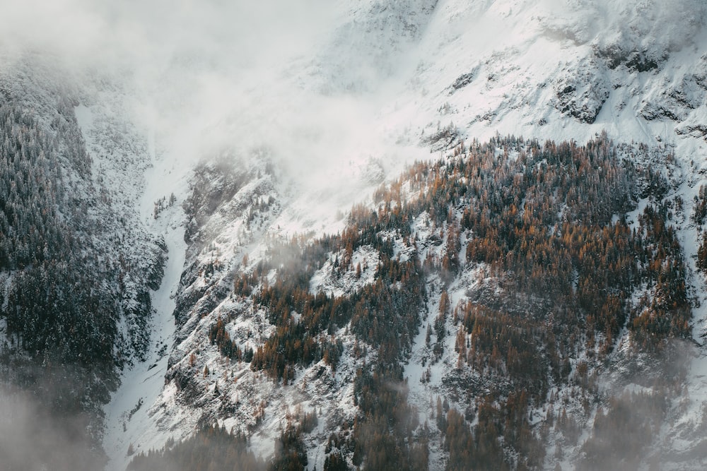 snow covered mountain during daytime