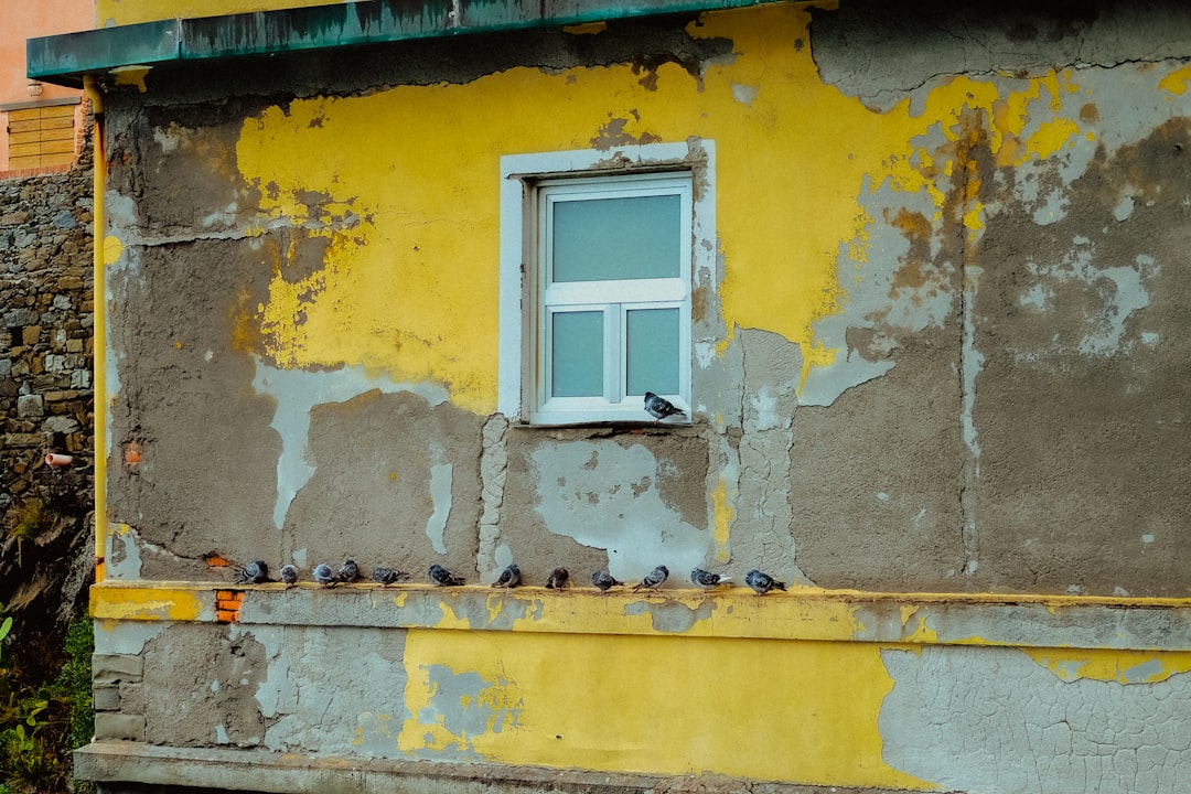 white wooden window frame on yellow concrete wall