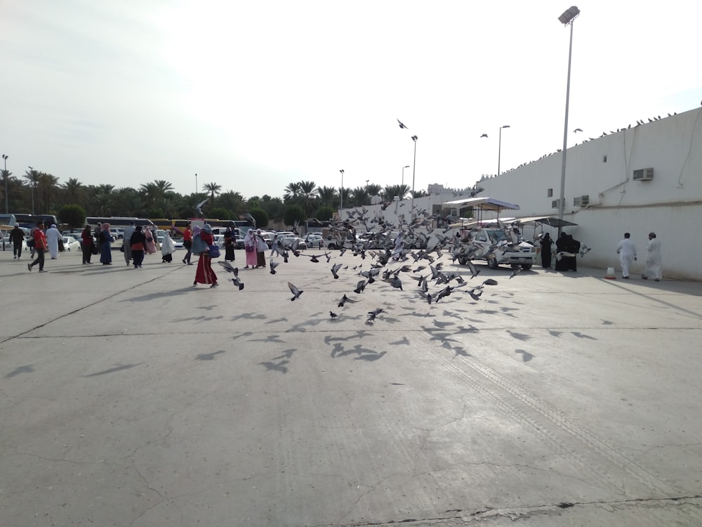 people walking on gray concrete pavement during daytime