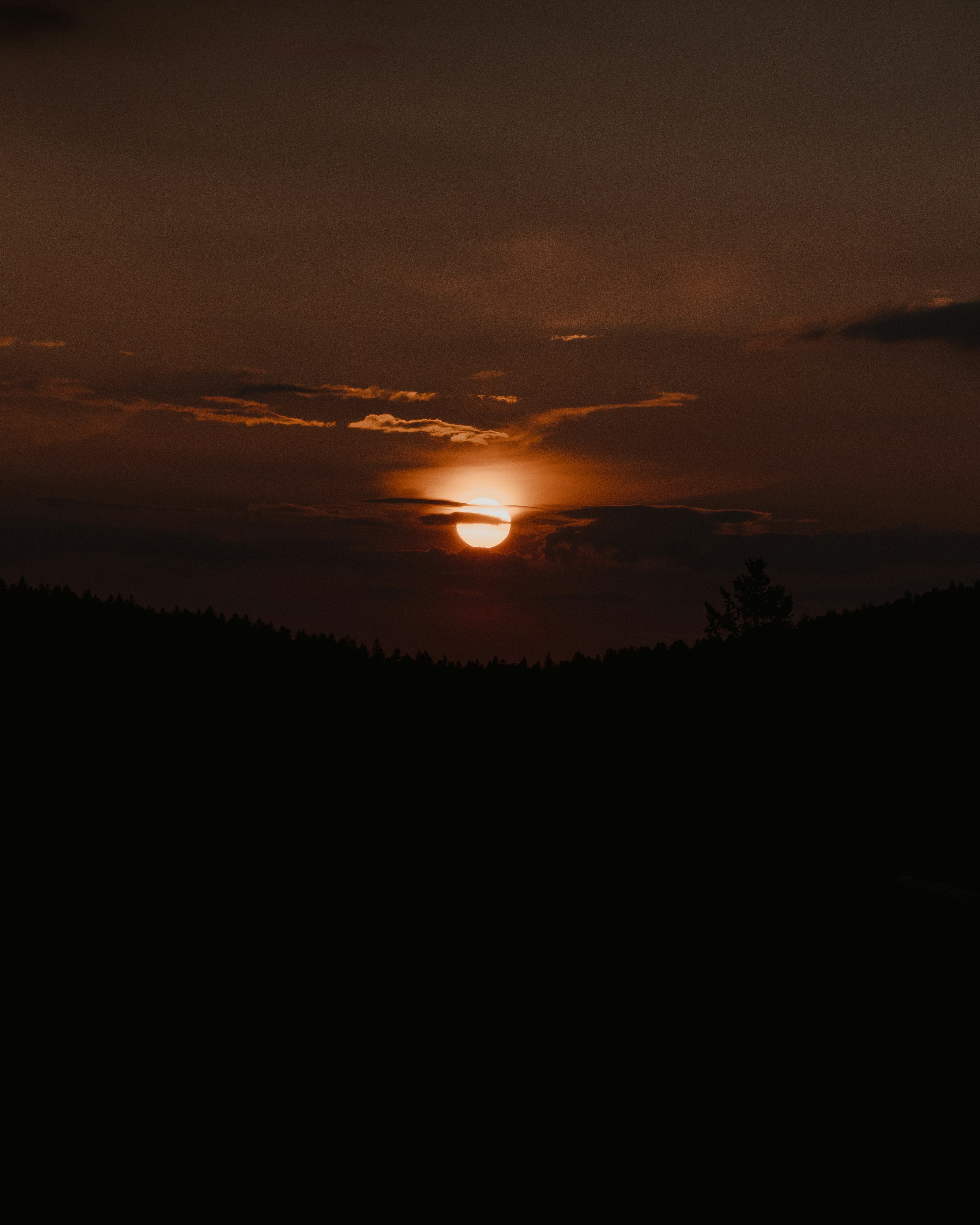 Photo by michielannaert