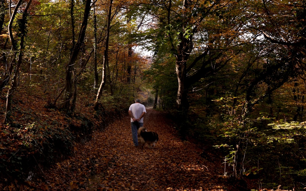 man in white shirt and blue denim jeans walking on brown dried leaves on ground surrounded