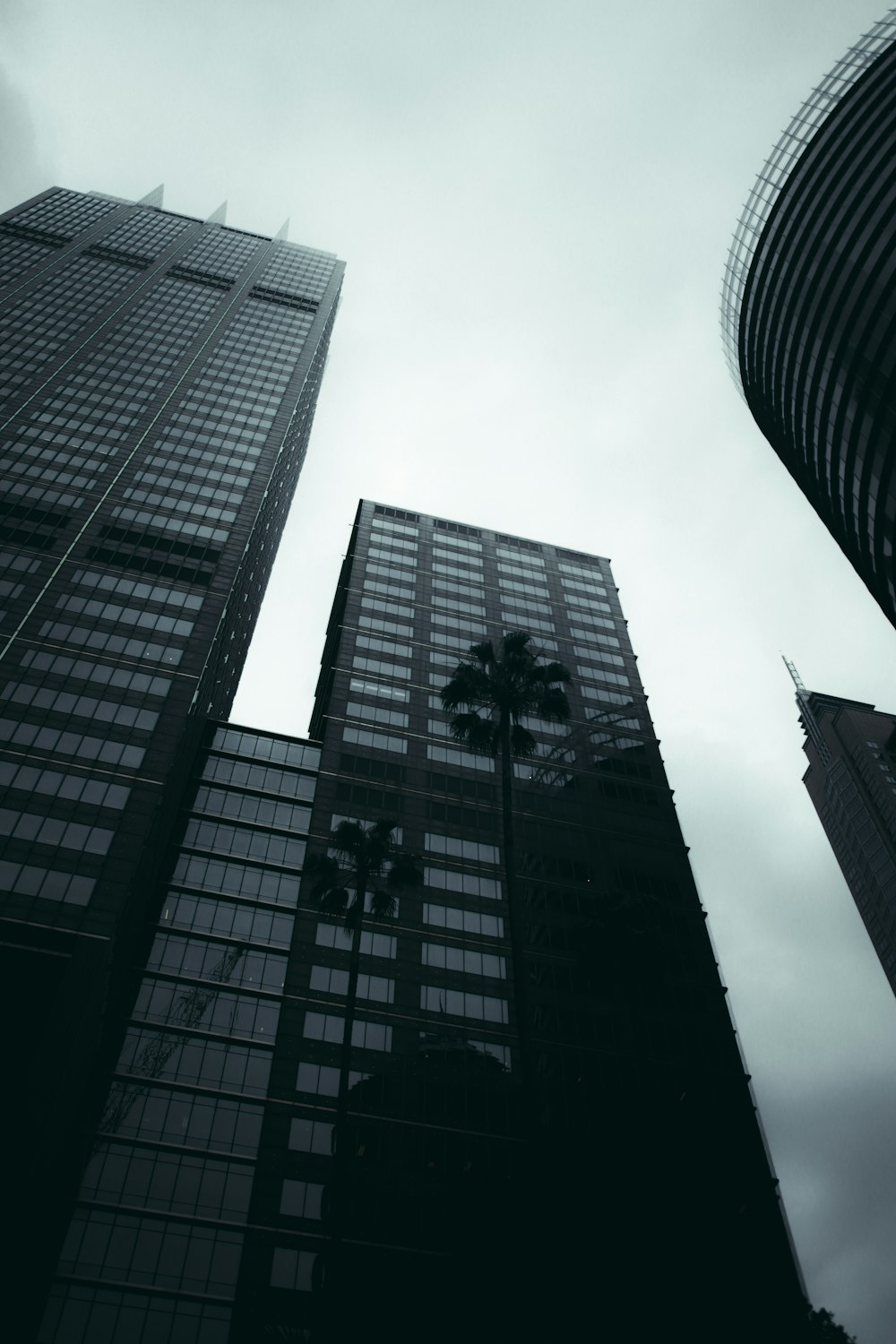 grayscale photo of high rise building