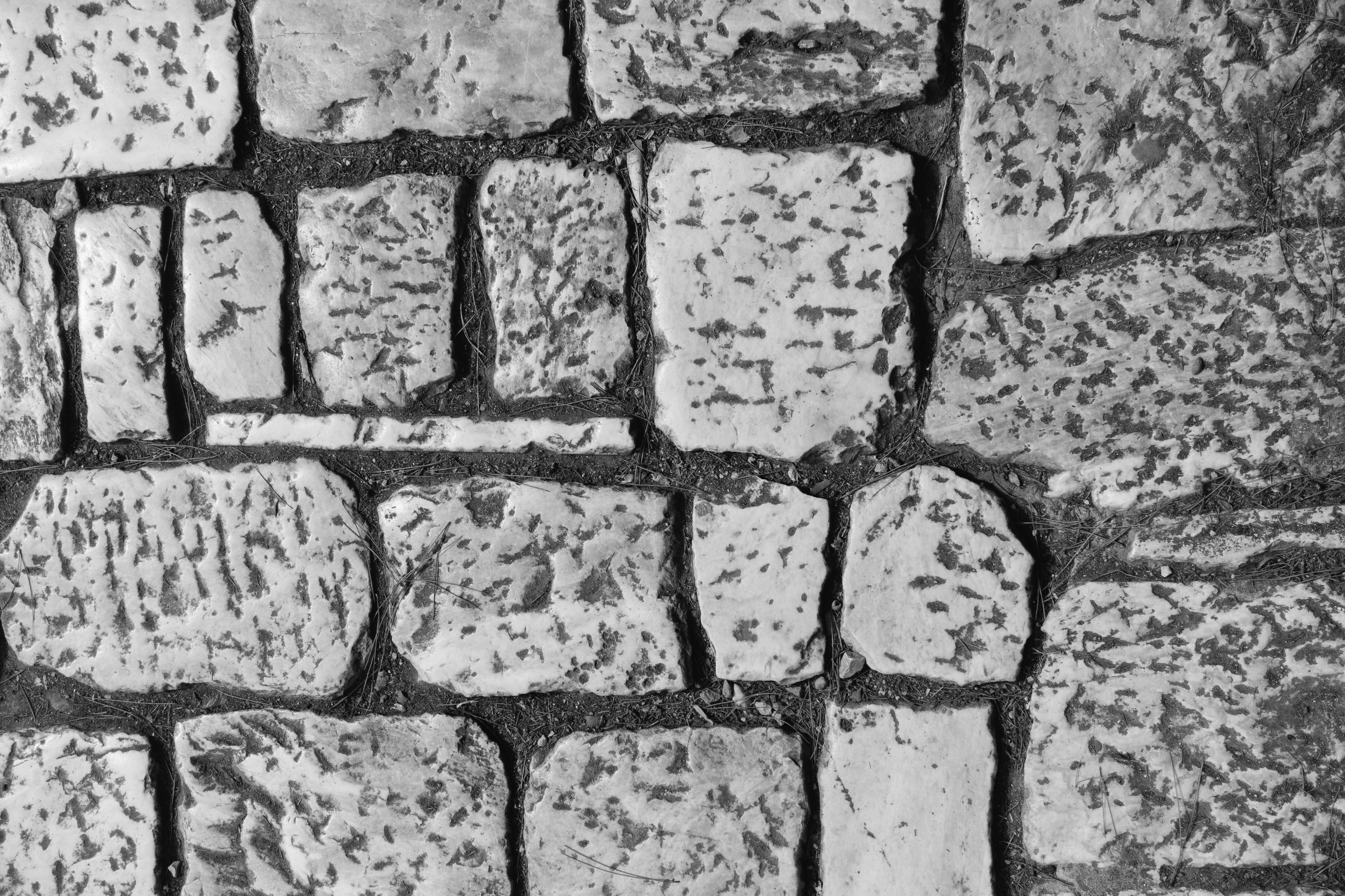 Photo by markuswinkler