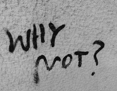 graffiti on wall reading WHY NOT?