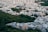 An urban landscape with a dense cluster of buildings interspersed with trees, capturing a blend of city architecture and green spaces. Some buildings have swimming pools on the rooftops, and the layout suggests a mix of residential and possibly commercial use.