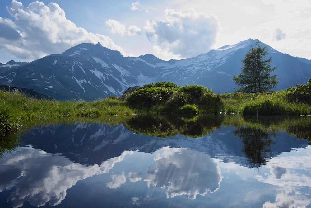 green trees near lake and mountain under white clouds and blue sky during daytime