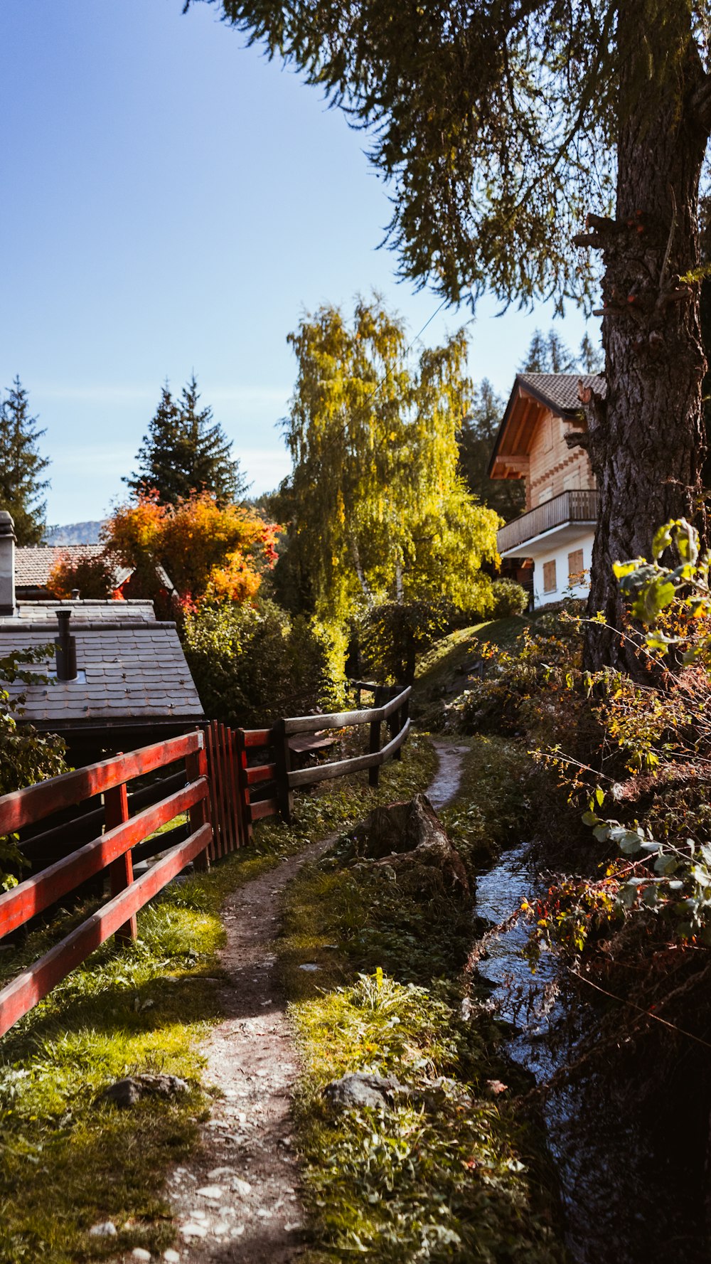 brown wooden house near green trees under blue sky during daytime