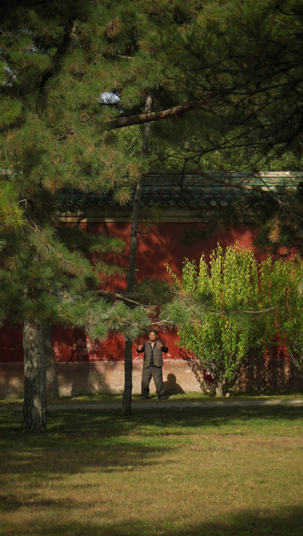 2 person standing on green grass field near green trees during daytime