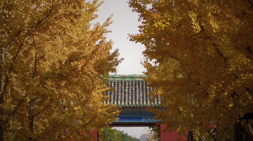 green and brown trees near white building during daytime