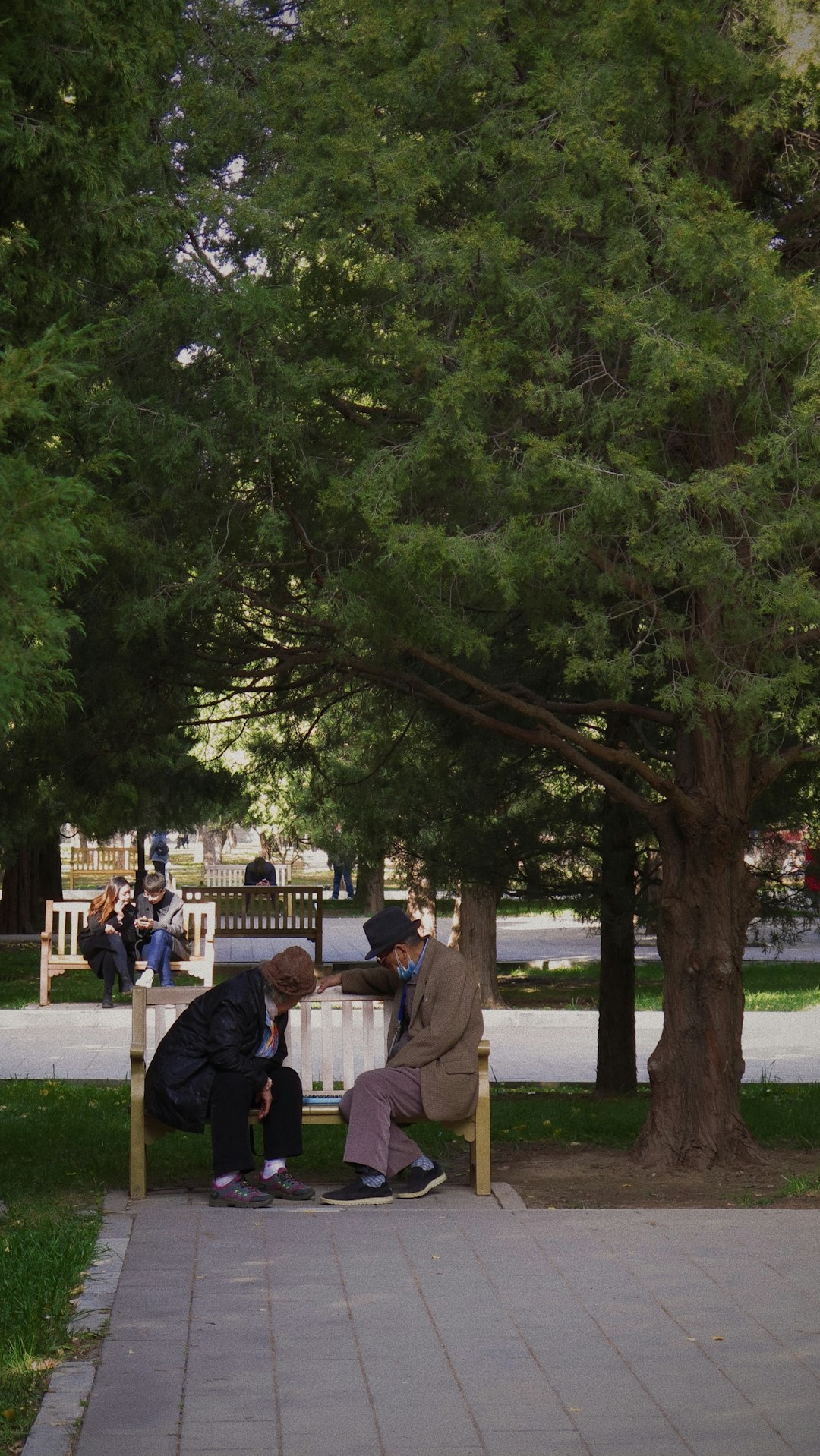 people sitting on green grass field near green trees during daytime