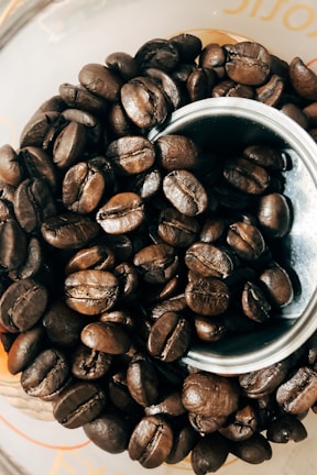 A close-up view of a pile of roasted coffee beans arranged in and around a metal grinder or container. The beans have a rich, dark brown hue and an oily sheen, with visible creases and textures.