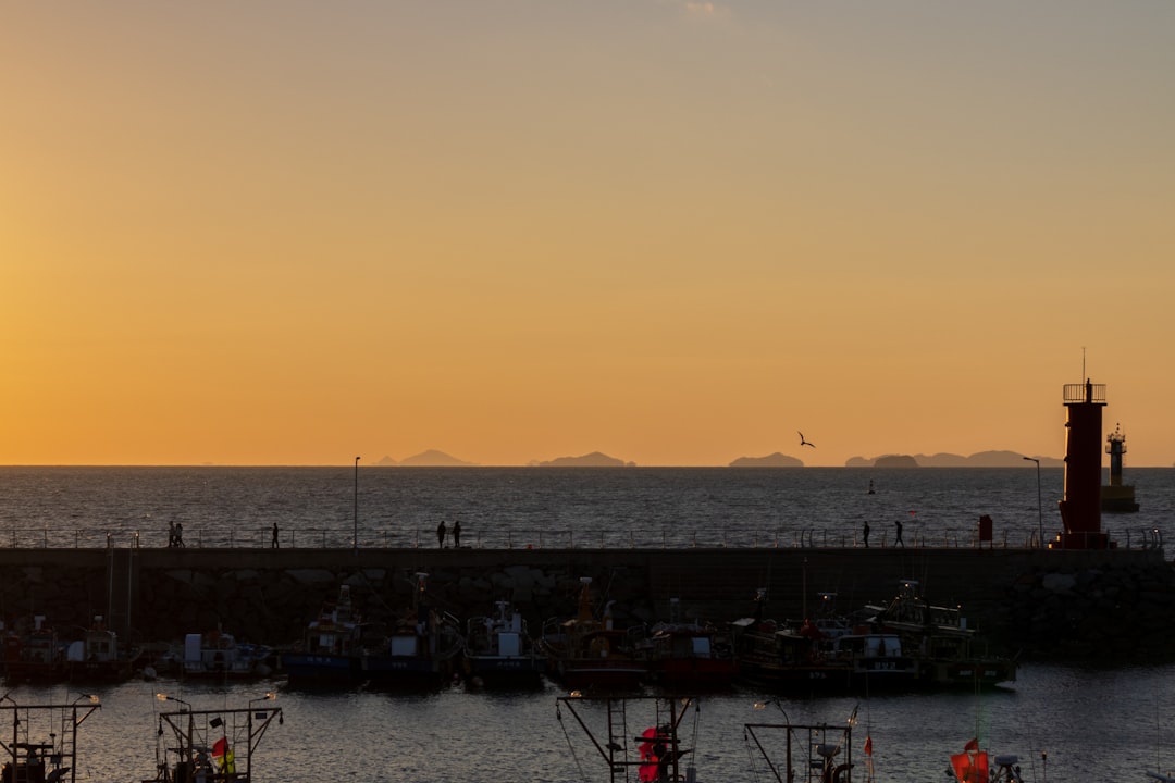 silhouette of people on dock during sunset