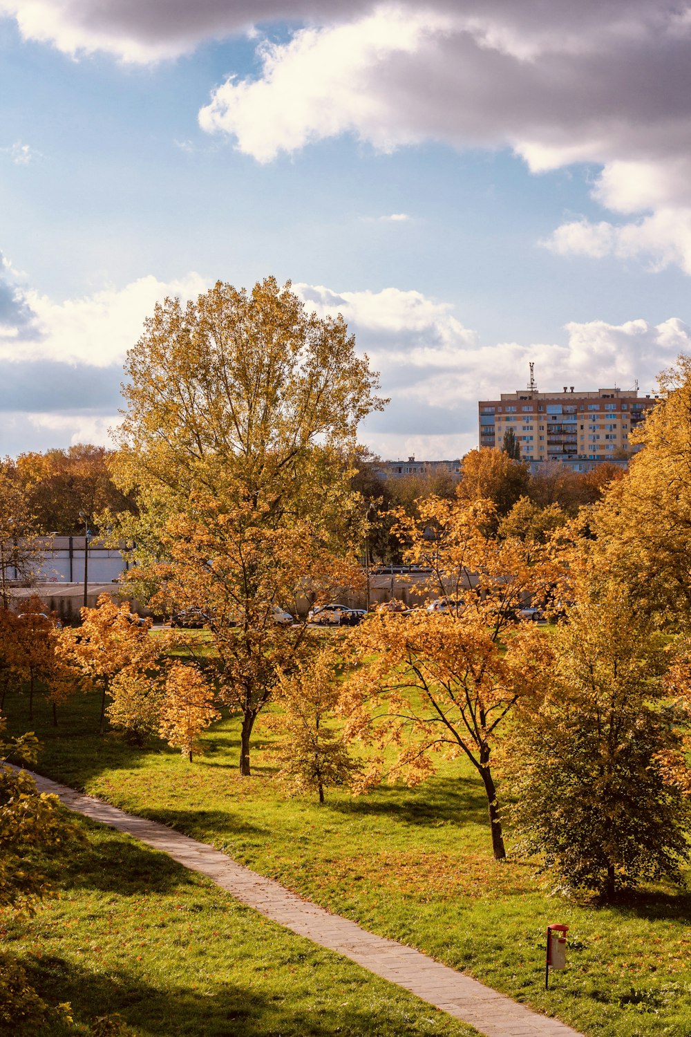 yellow and green trees near city buildings under blue and white sunny cloudy sky during daytime