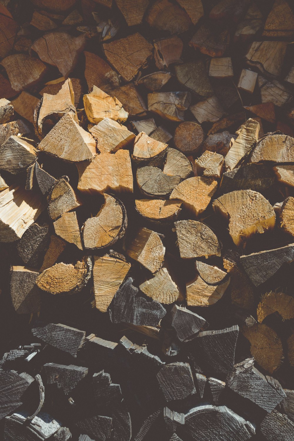 brown and black firewood lot