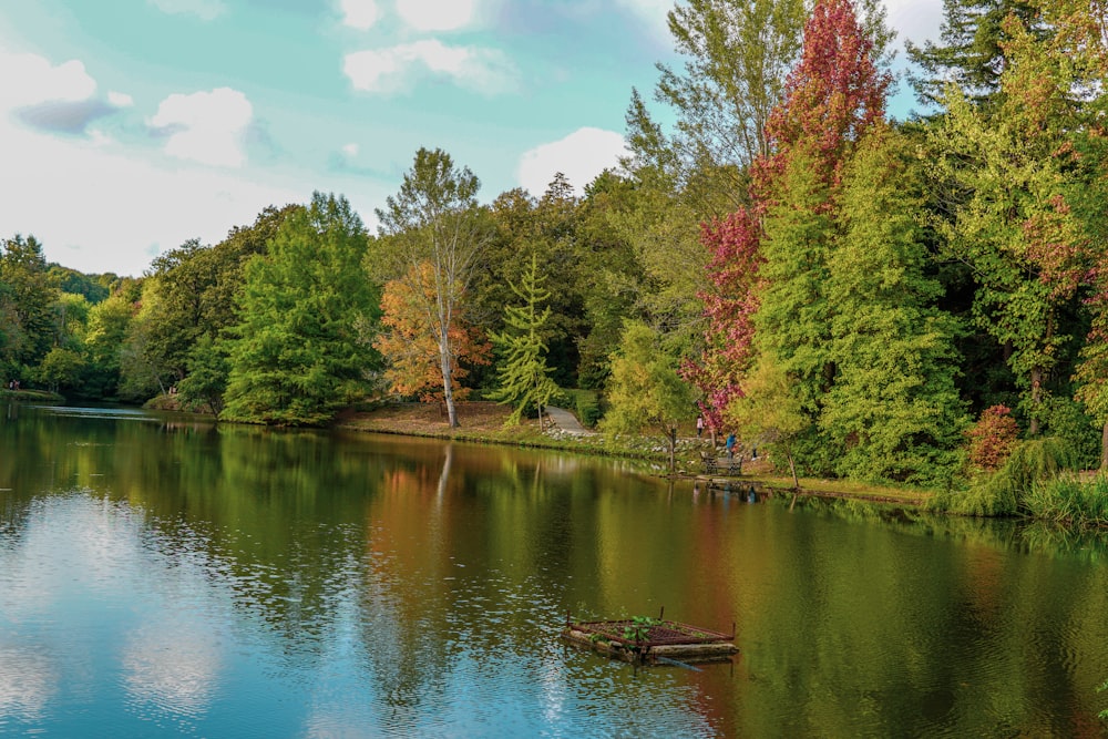 green and red trees beside river under blue sky during daytime