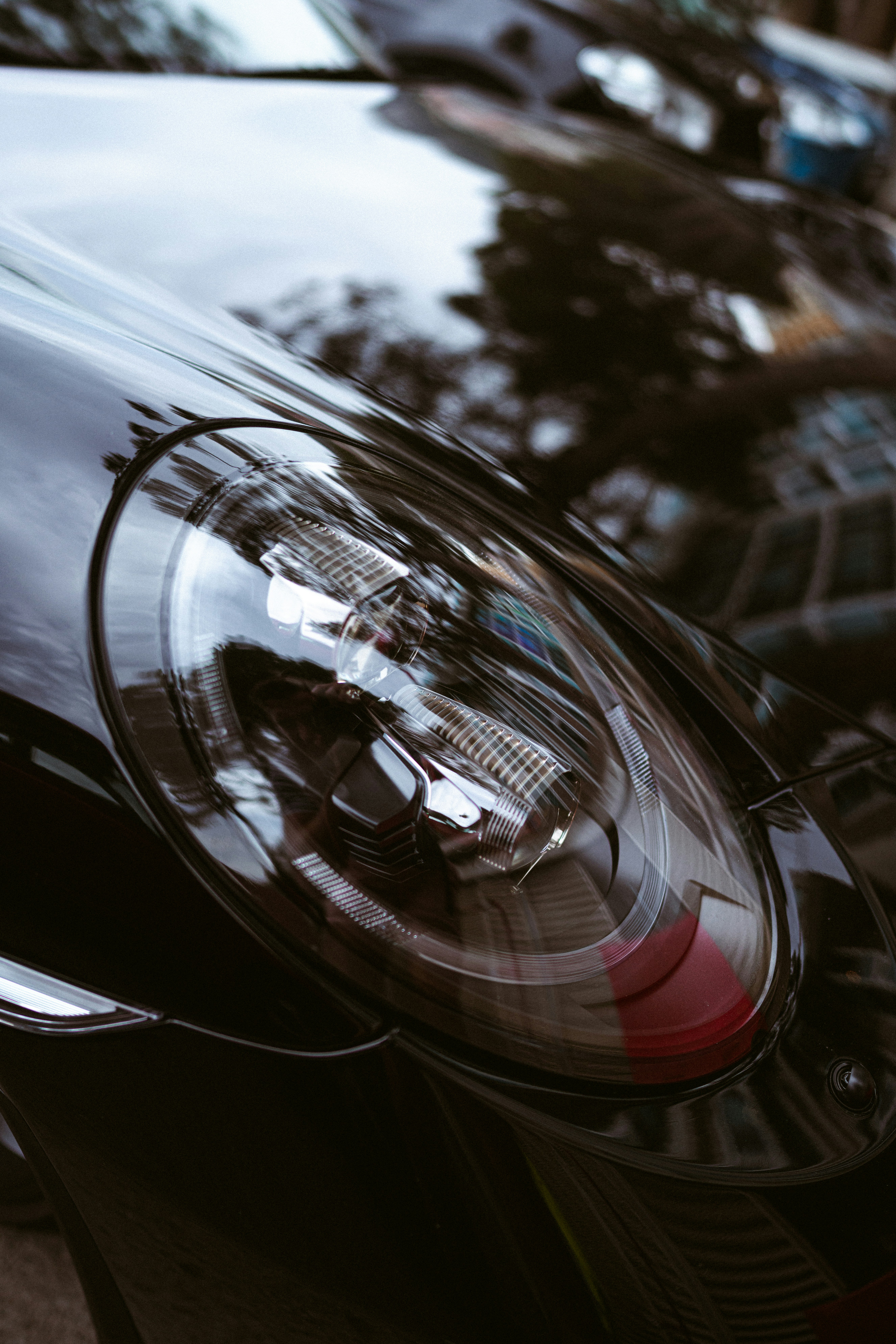 Photo by brunovdkraan