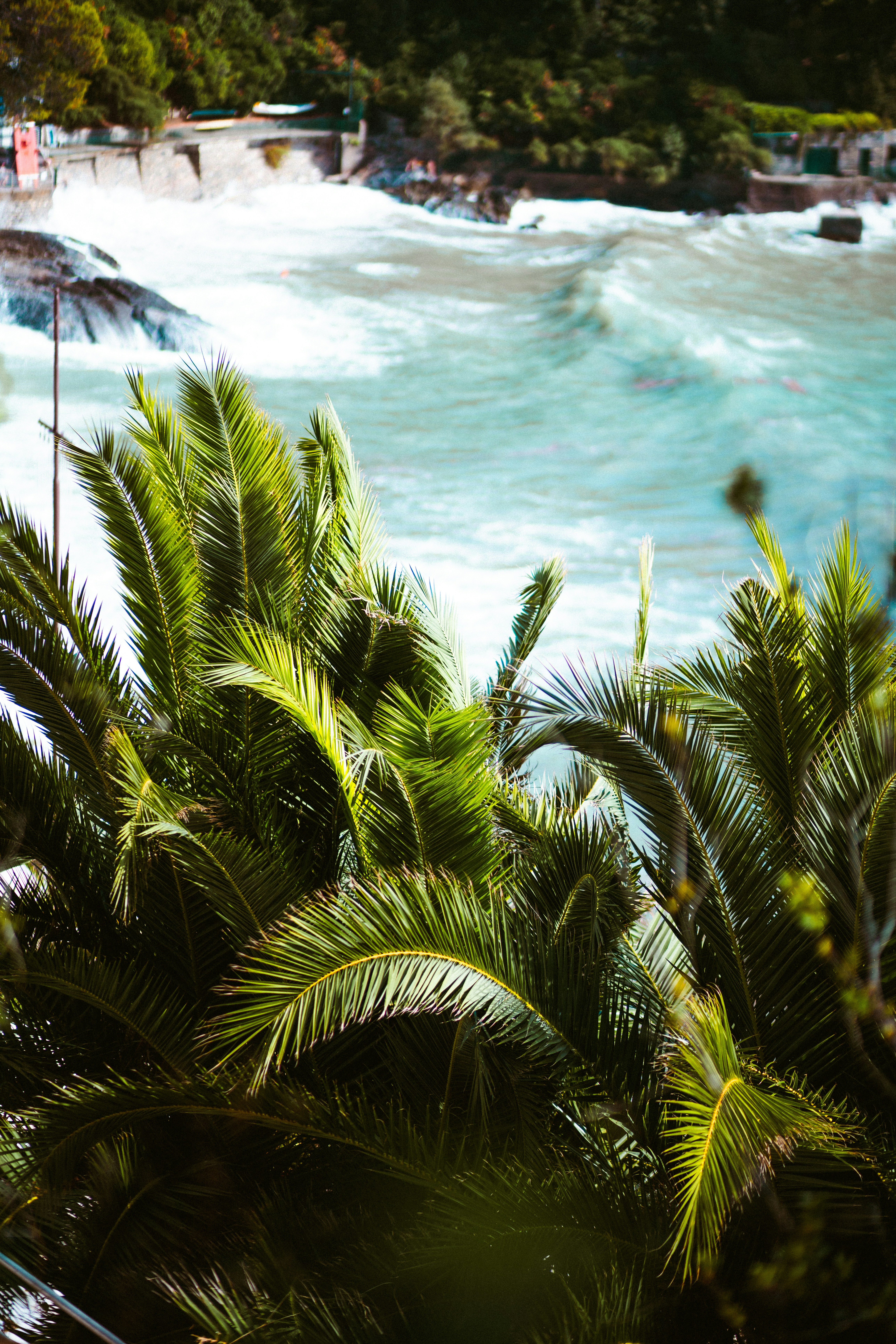 Photo by brunovdkraan