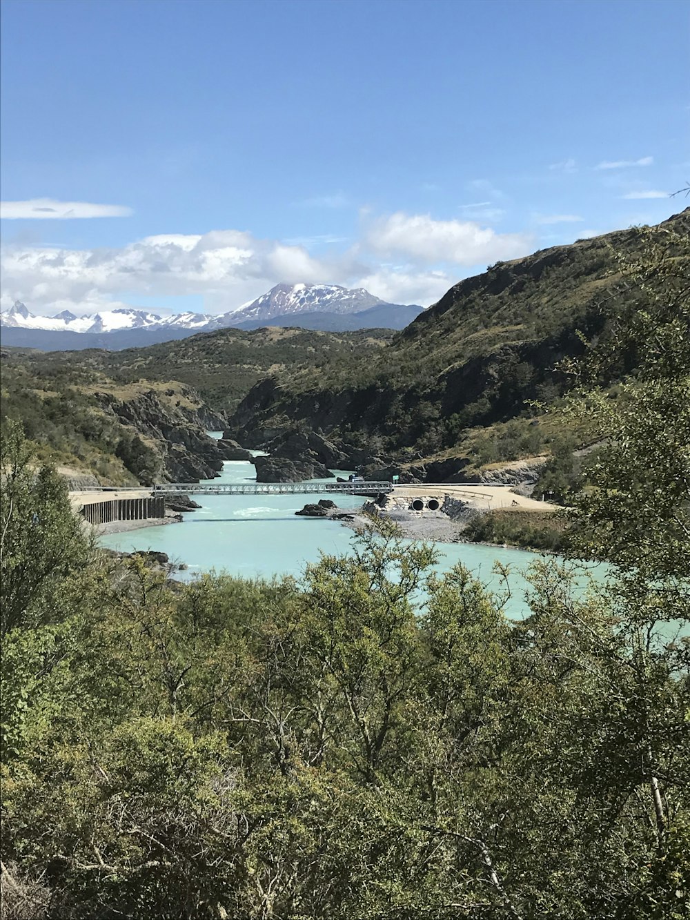 green trees near lake under blue sky during daytime