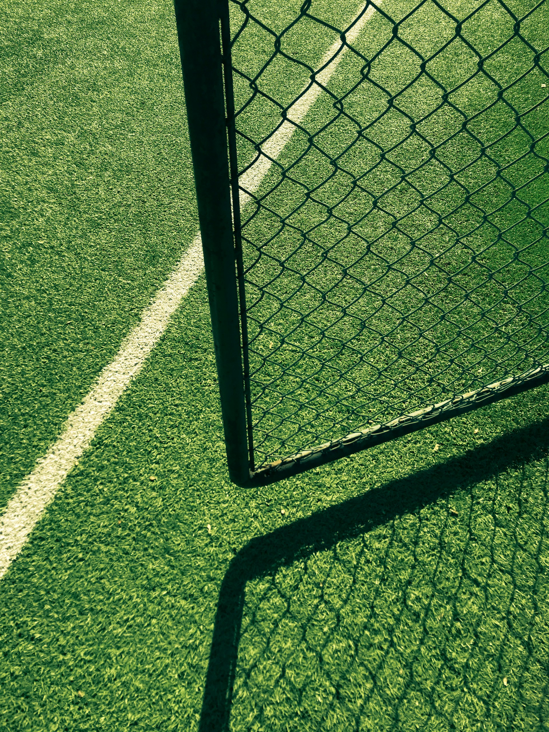 black metal fence on green grass field