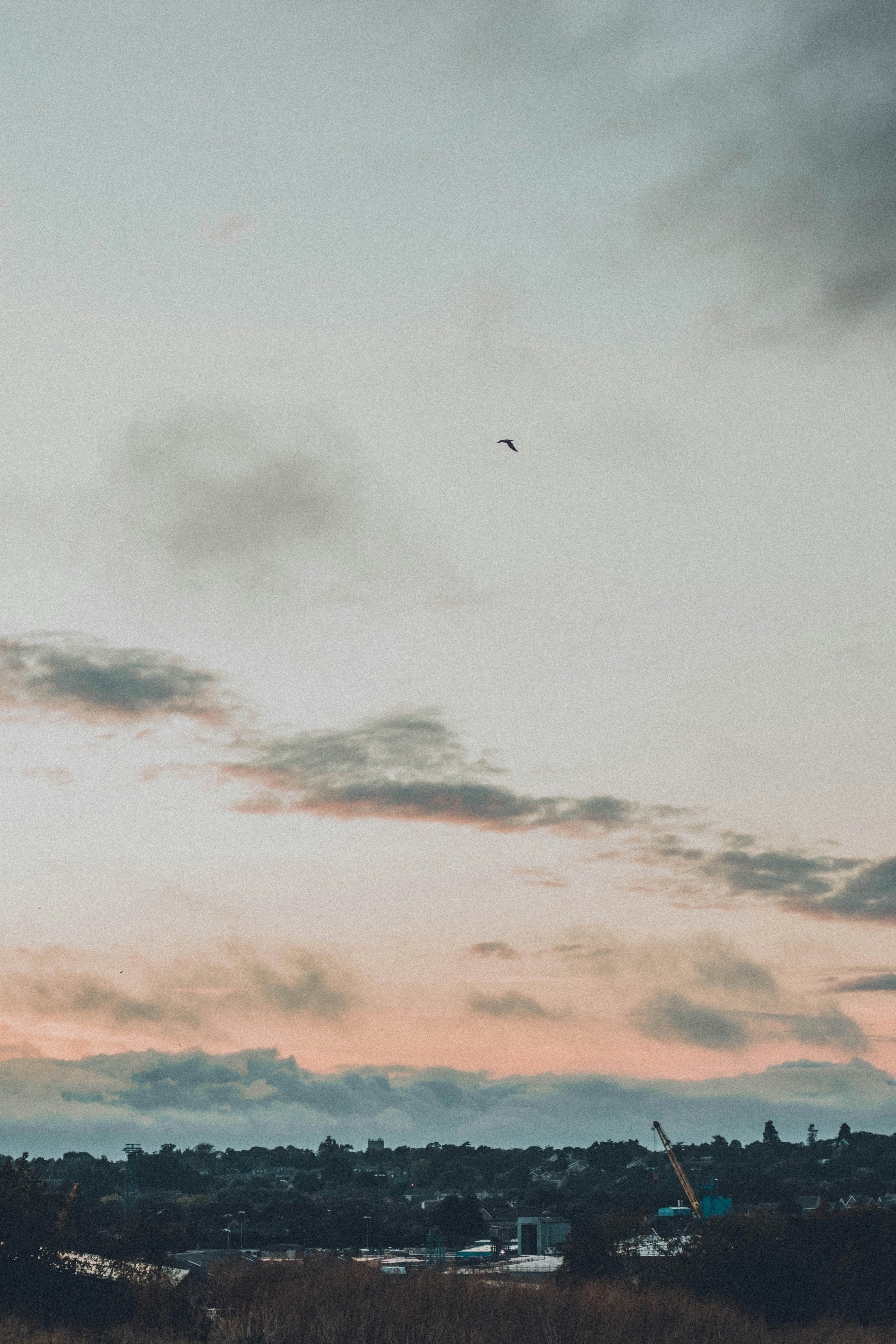 Photo by superstraho