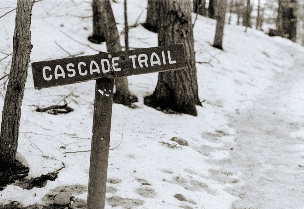 black and white wooden signage on snow covered ground