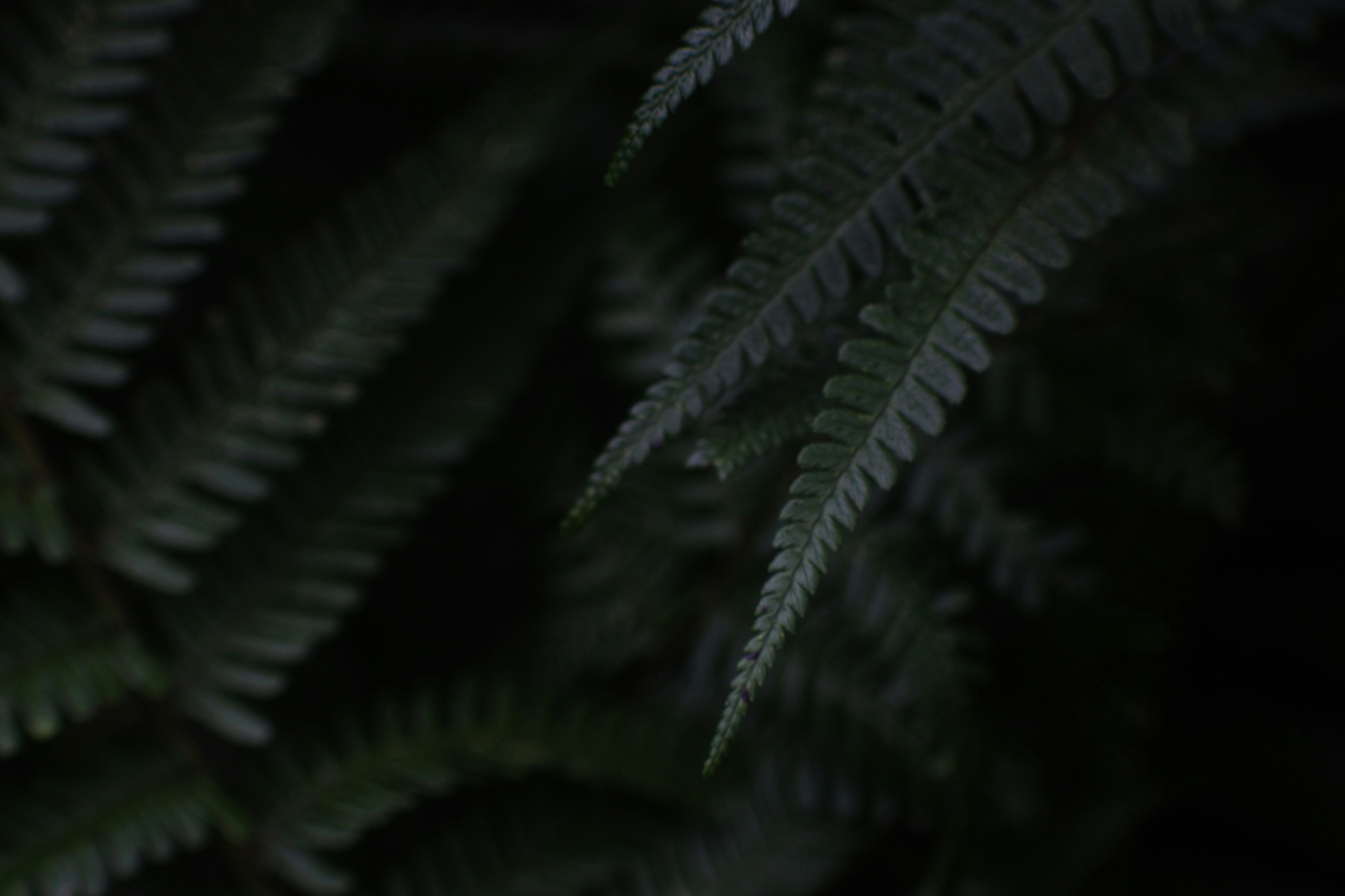 Photo by mariastubley