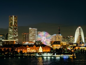 city skyline during night time