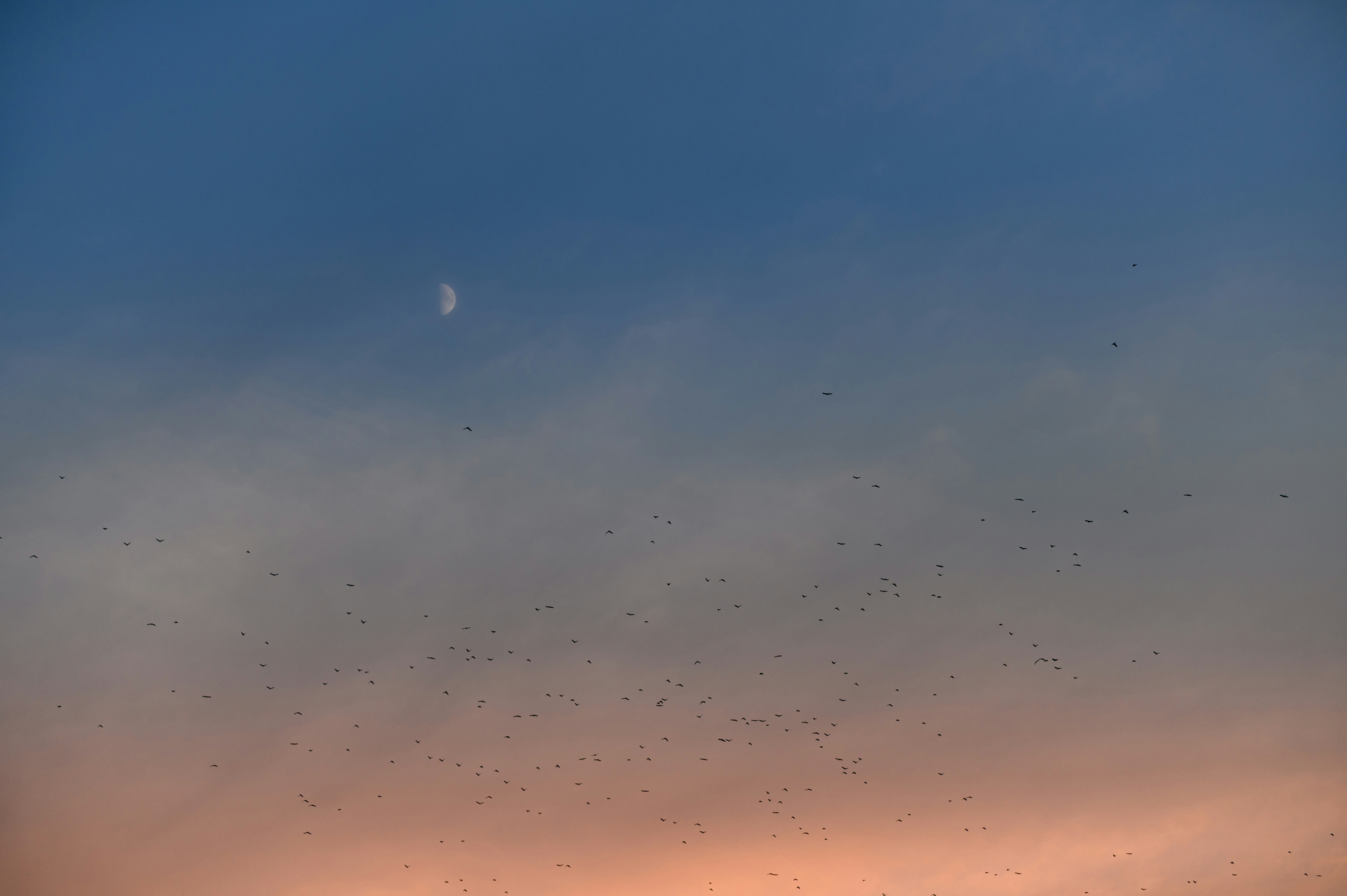 Photo by andreasbrun